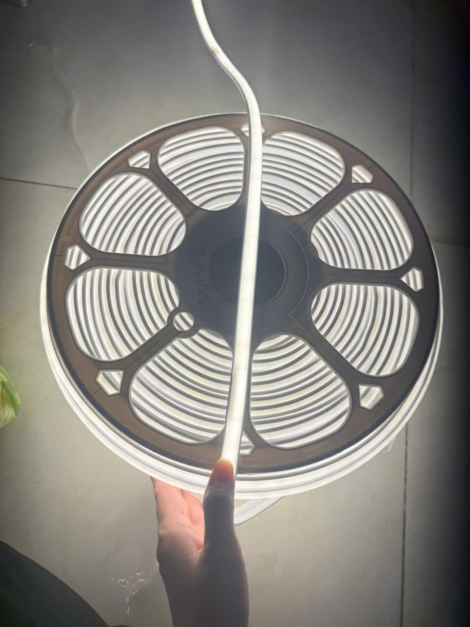 Dây cob 220v trắng 